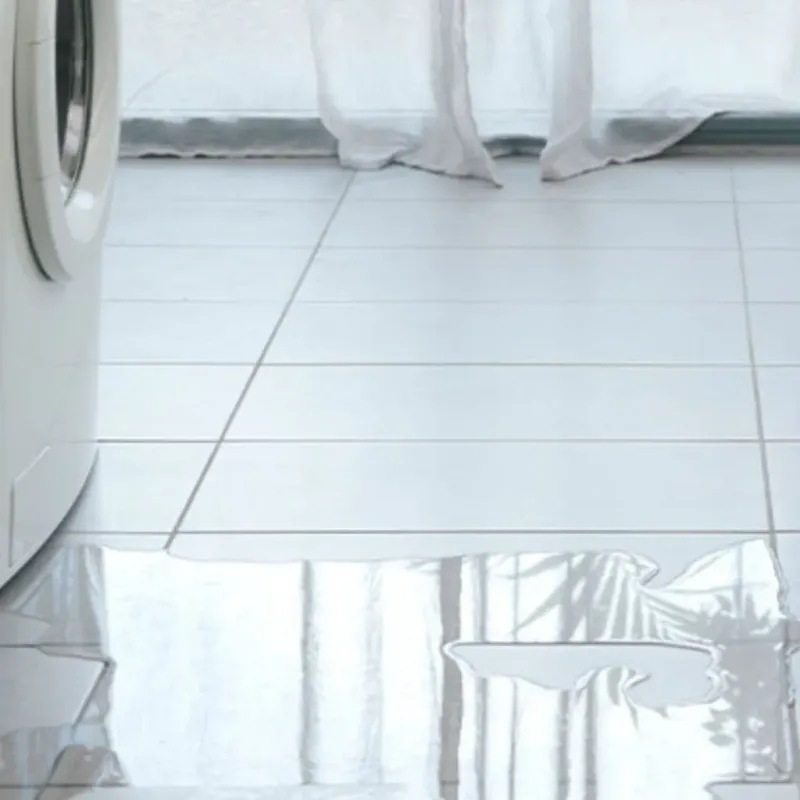 Appliance Leak Cleanup in Port Royal, SC